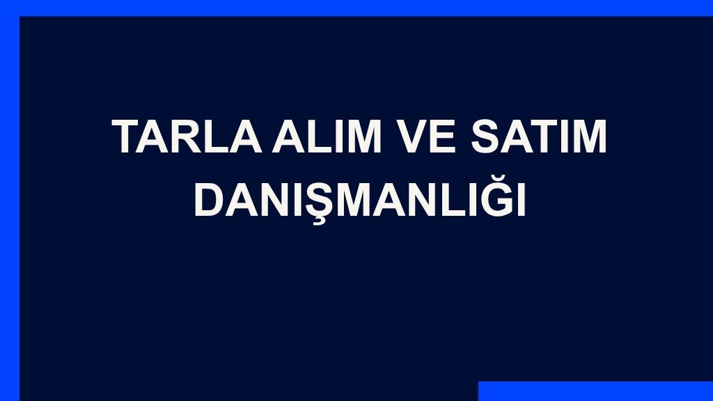 Yazı: Tarla Alım ve Satım  Danışmanlığı